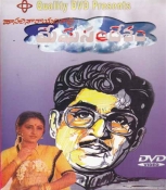 Meghasandesam Telugu Dvd
